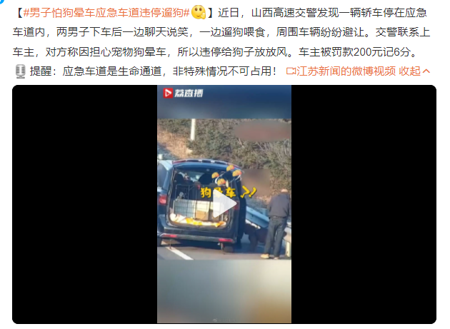 男子怕狗暈車應(yīng)急車道違停遛狗 車主被罰款200元記6分