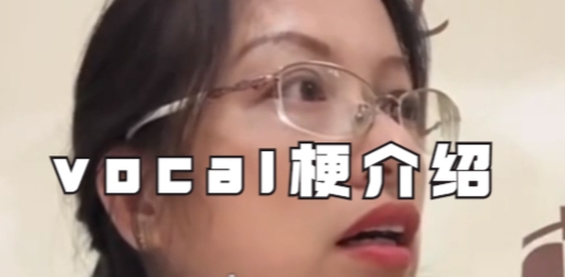 WjZvocalʲô