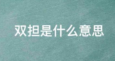 網(wǎng)絡(luò)用語雙擔(dān)是什么梗