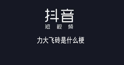網(wǎng)絡(luò)用語(yǔ)力大磚飛是什么梗