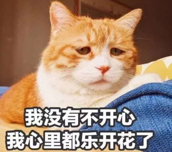 網(wǎng)絡(luò)用語(yǔ)苦大愁深是什么梗