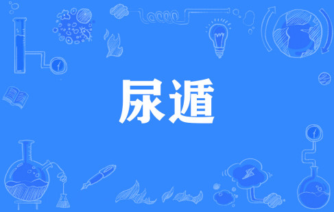 W(wng)j(lu)Zʲô