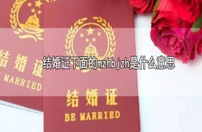 網(wǎng)絡(luò)用語(yǔ)妹子何必嫁這貨是什么梗