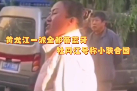 網(wǎng)絡(luò)用語黃龍江一派帶藍(lán)牙是什么意思