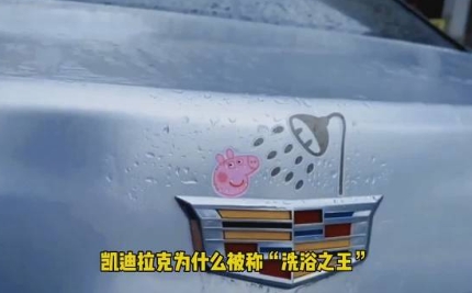 網(wǎng)絡(luò)用語(yǔ)凱迪拉克洗浴王是什么梗