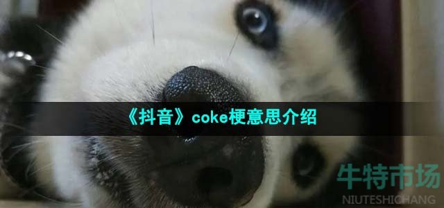 coke˼B