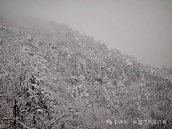 近日浙江雪@中氣愛攝影群Wind