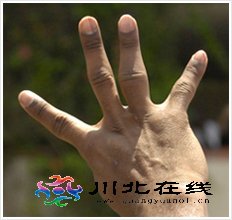 ƱЇ(gu)Уָ(yn)׃o(w)형