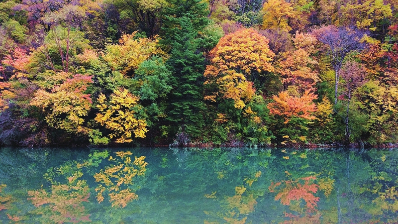 太美了!四川紅葉進(jìn)入最佳觀賞期